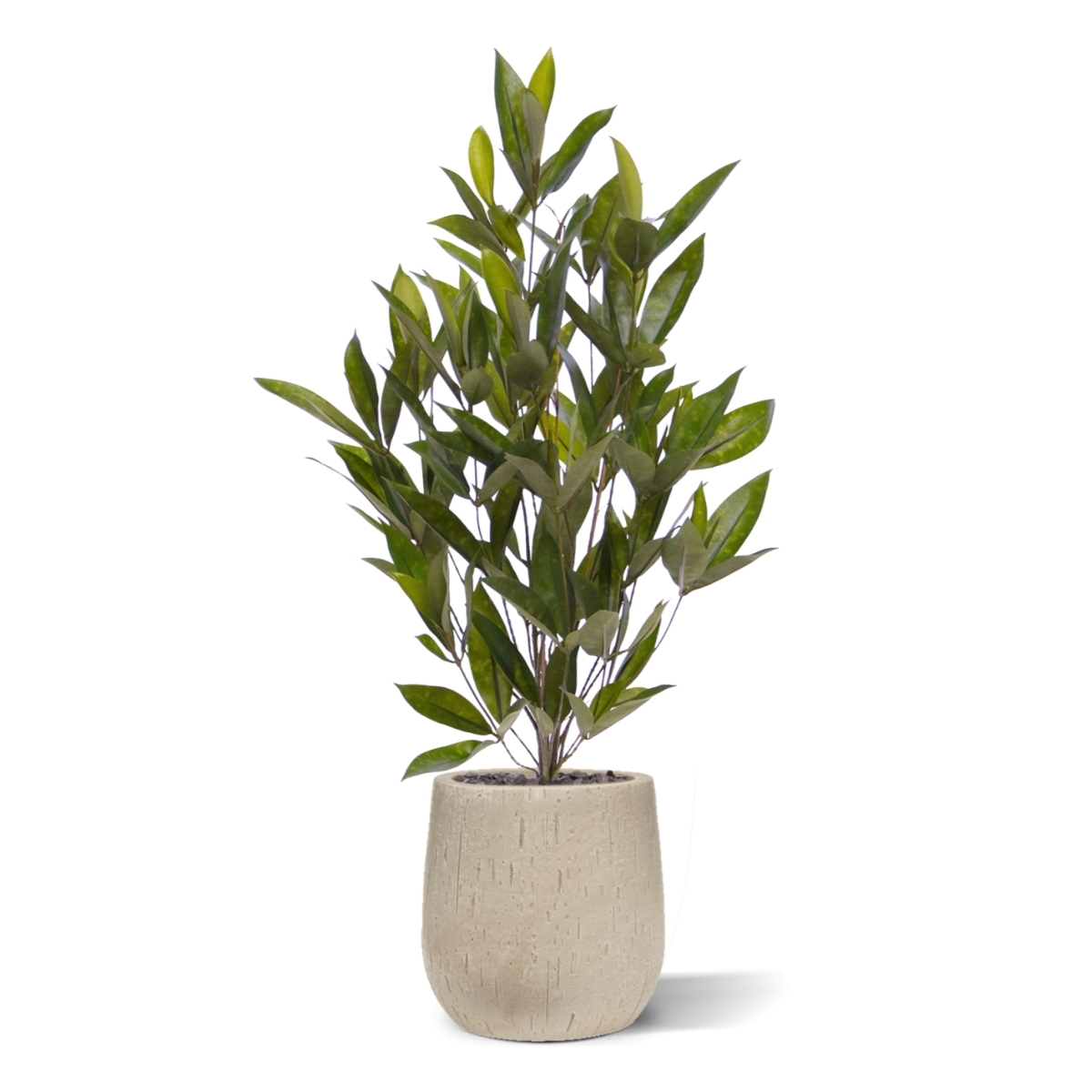 Draceana surculosa pianta artificiale 70 cm