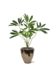 Philodendron Fun Bun Artificiale 80cm Deluxe