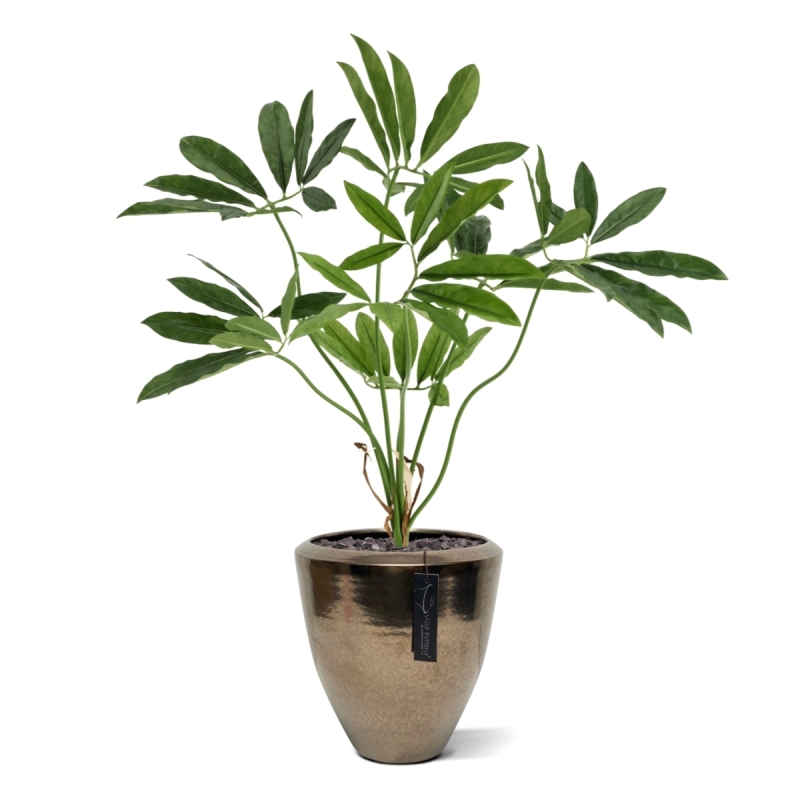 Philodendron Fun Bun Artificiale 80cm Deluxe