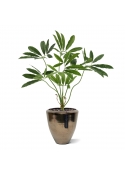 Philodendron Fun Bun Artificiale 80cm Deluxe