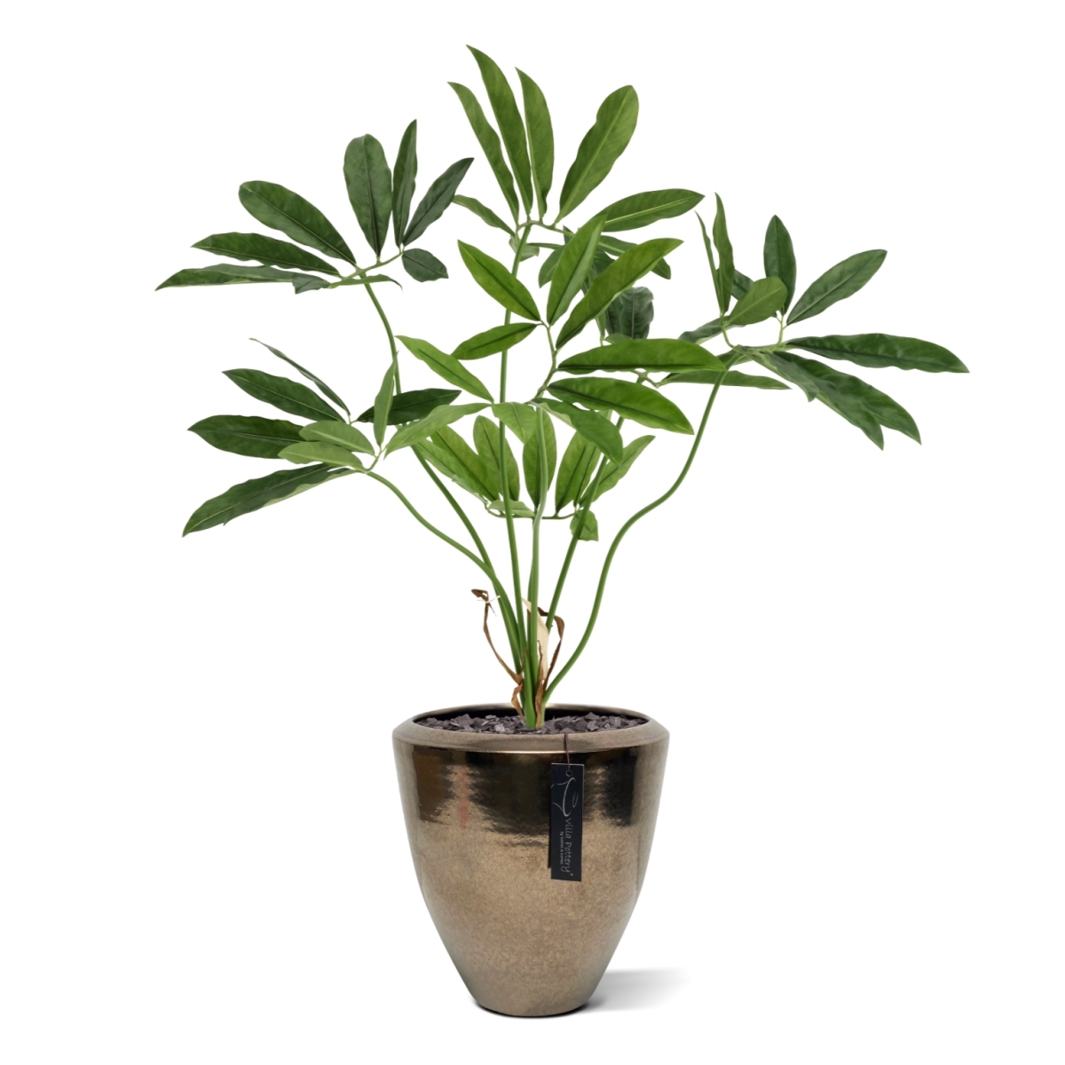 Philodendron Fun Bun Artificiale 80cm Deluxe
