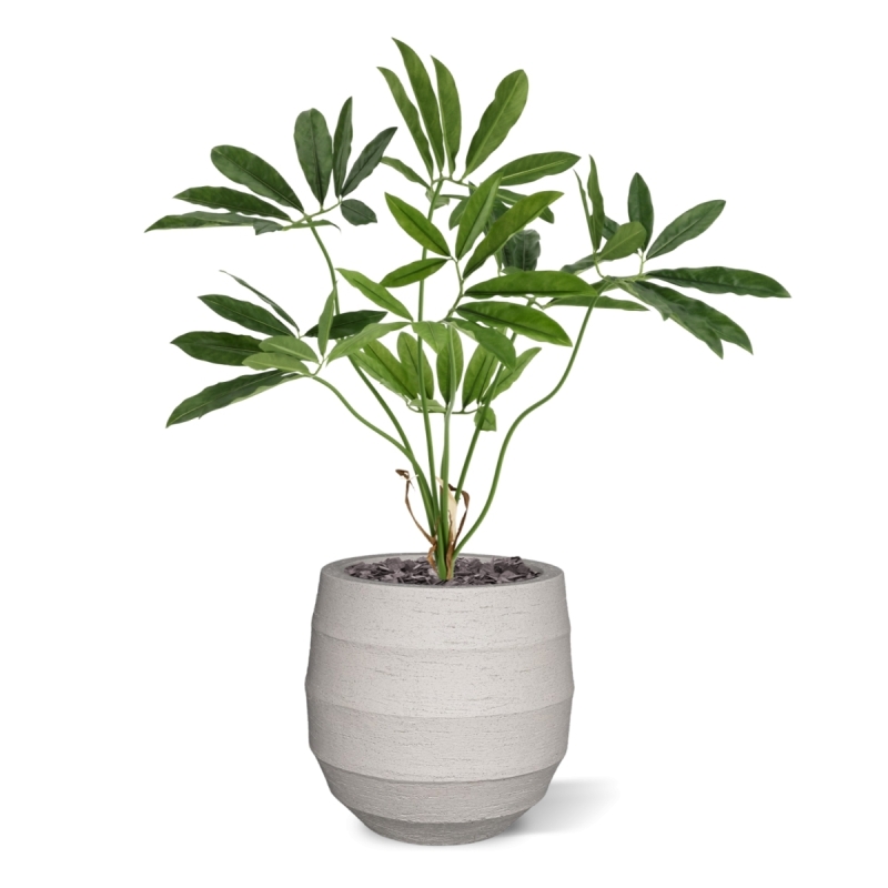 Philodendron Fun Bun Artificiale 80cm Deluxe