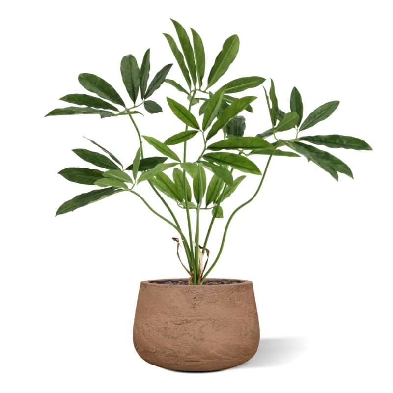 Philodendron Fun Bun Artificiale 80cm Deluxe