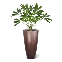 Philodendron Fun Bun Artificiale 80cm Deluxe