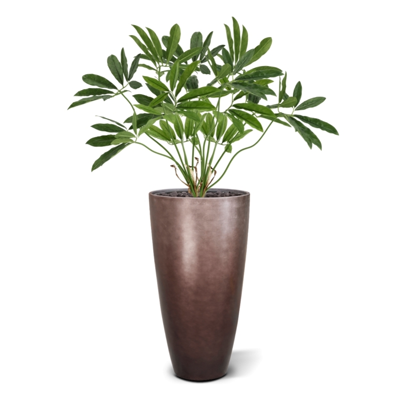 Philodendron Fun Bun Artificiale 80cm Deluxe
