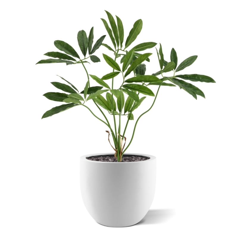 Philodendron Fun Bun Artificiale 80cm Deluxe