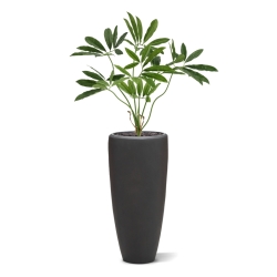 Philodendron Fun Bun Artificiale 80cm Deluxe