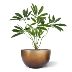 Philodendron Fun Bun Artificiale 80cm Deluxe