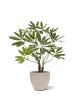 Pianta artificiale Philodendron Fun Bun Deluxe da 100cm