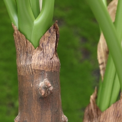 Pianta artificiale Philodendron Fun Bun Deluxe da 100cm