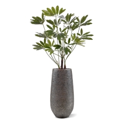 Philodendron Fun Bun Pianta Artificiale 145cm