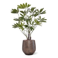 Philodendron Fun Bun Pianta Artificiale 145cm