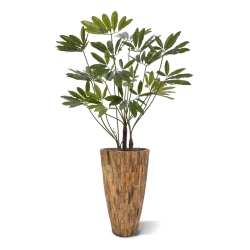 Philodendron Fun Bun Pianta Artificiale 145cm