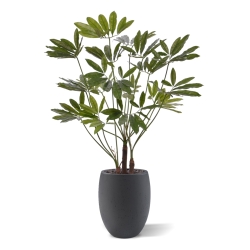 Philodendron Fun Bun Pianta Artificiale 145cm
