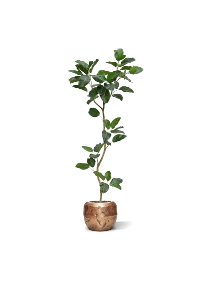 Albero artificiale Ficus Audrey RT 240 cm