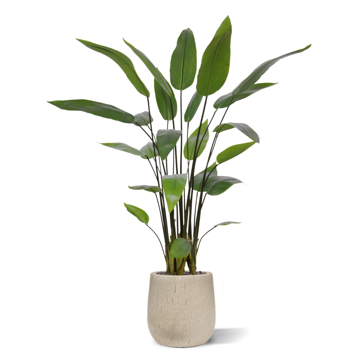 Pianta di Canna Acquatica Artificiale 120cm