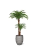 Palma artificiale Areca deluxe 225 cm