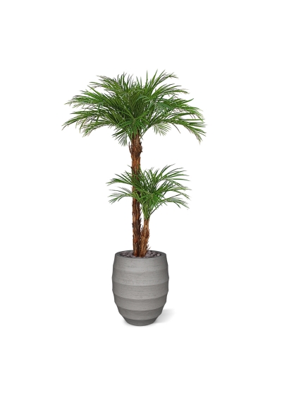 Palma artificiale Areca deluxe 225 cm
