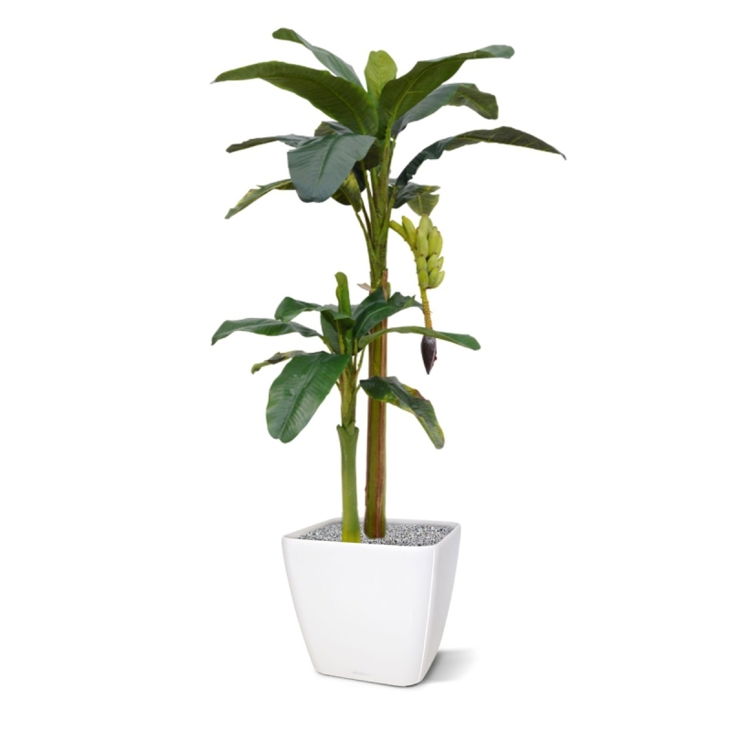 Albero artificiale di banane 180 cm