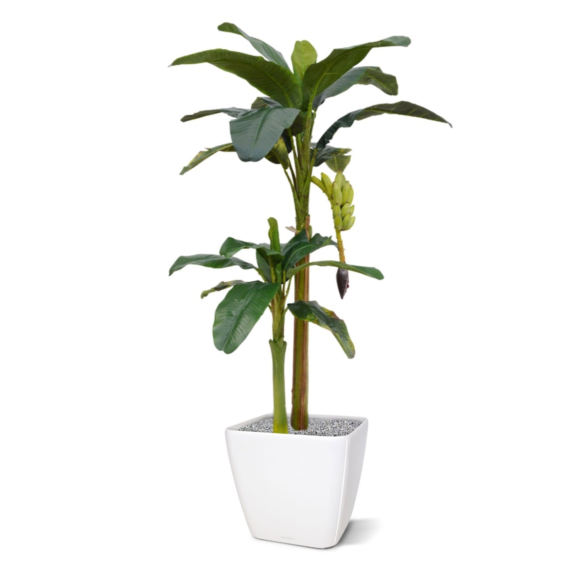 Albero artificiale di banane 180 cm