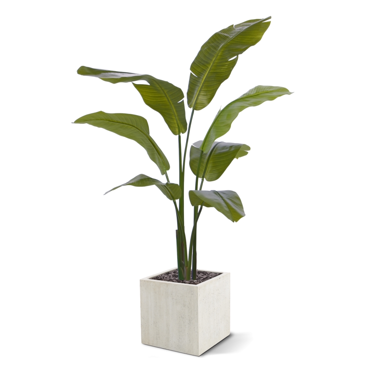 Palma viaggiatrice artificiale promo 120cm