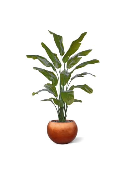 Palma viaggiatrice artificiale promo 190cm