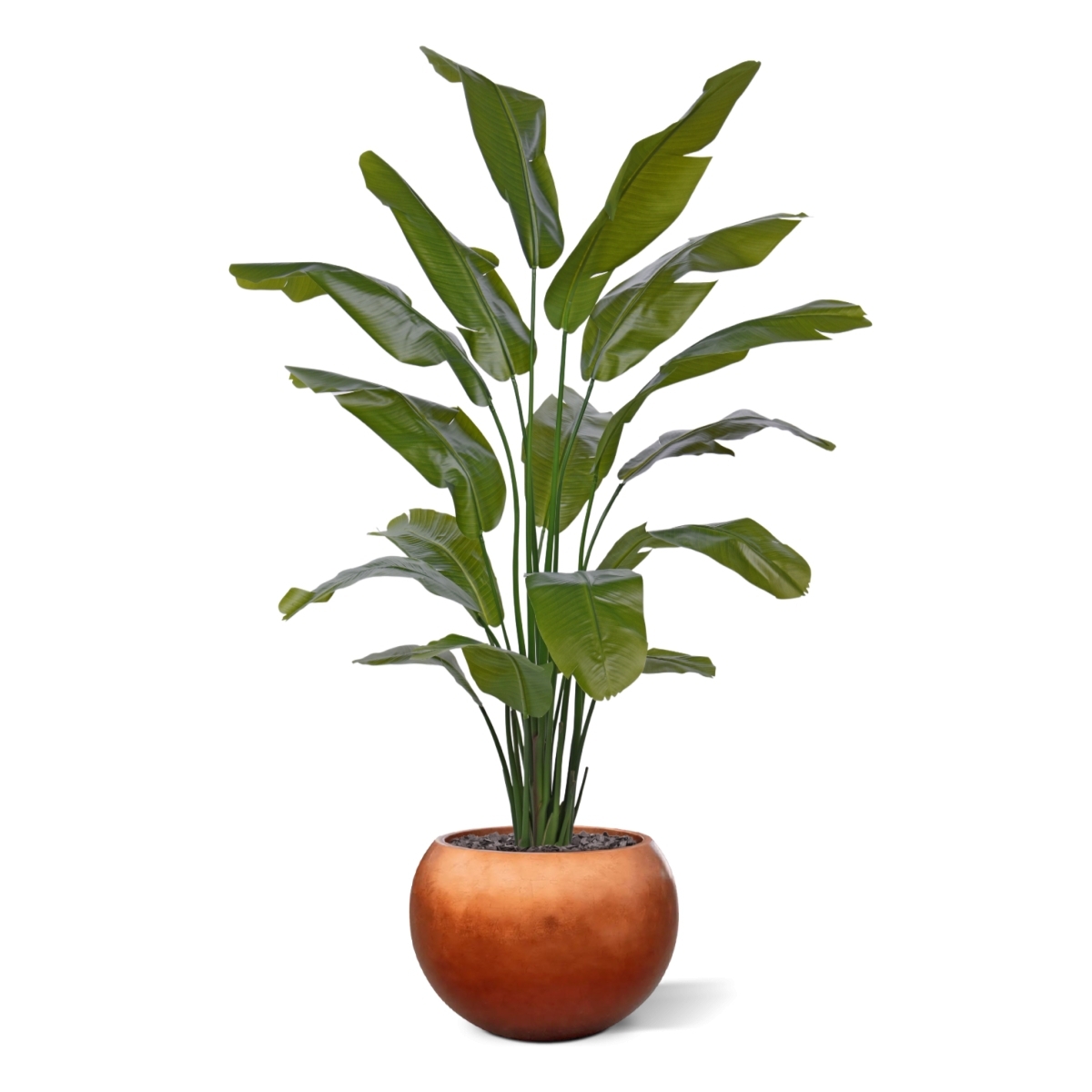 Palma viaggiatrice artificiale promo 190cm