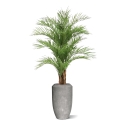 Palma di Areca artificiale Deluxe XL 210cm
