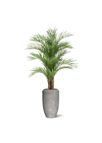 Palma di Areca artificiale Deluxe XL 210cm
