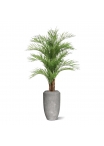 Palma di Areca artificiale Deluxe XL 210cm
