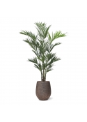 Palma artificiale Kentia XL Deluxe 260 cm