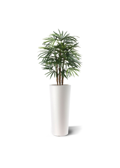 Palma artificiale Raphis deluxe 100 cm