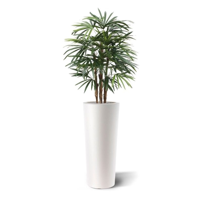 Palma artificiale Raphis deluxe 100 cm