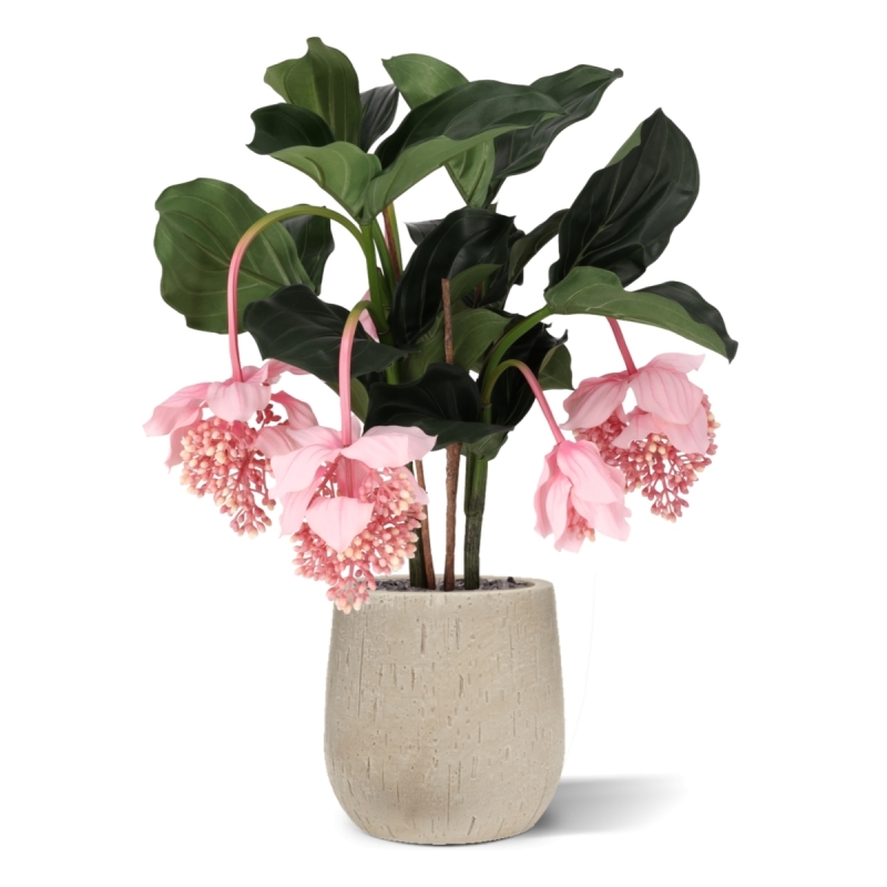 Pianta artificiale Medinella 65cm Deluxe