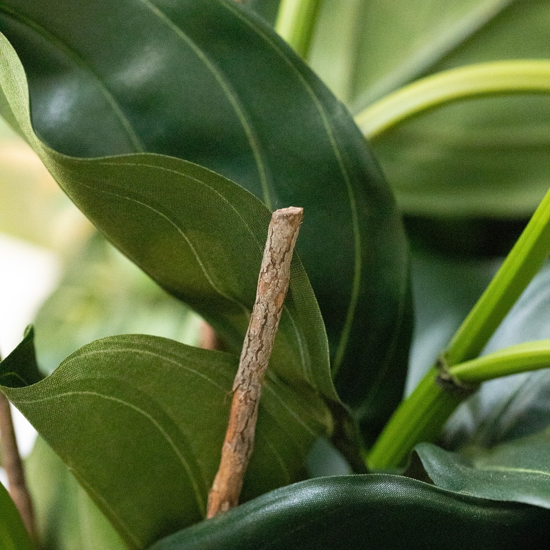 Pianta artificiale Medinella 65cm Deluxe