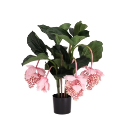 Pianta artificiale Medinella 65cm Deluxe