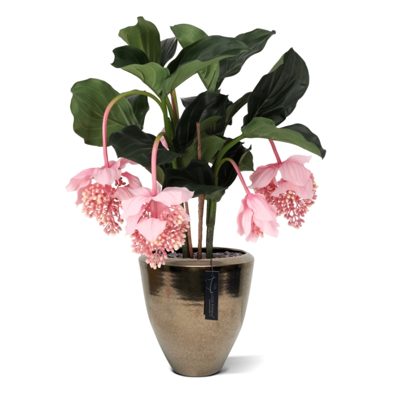 Pianta artificiale Medinella 65cm Deluxe