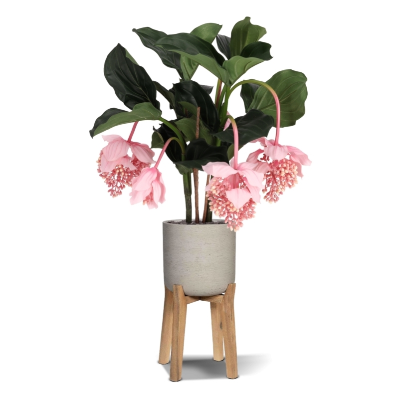 Pianta artificiale Medinella 65cm Deluxe