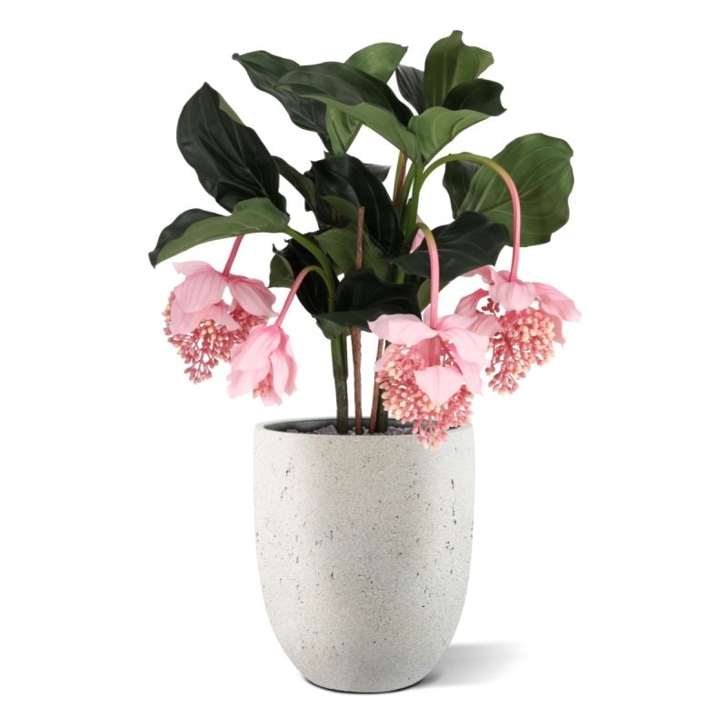 Pianta artificiale Medinella 65cm Deluxe
