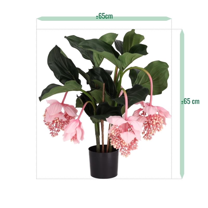 Pianta artificiale Medinella 65cm Deluxe