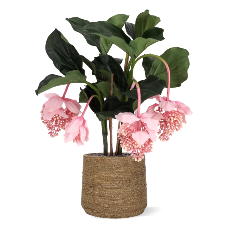 Pianta artificiale Medinella 65cm Deluxe