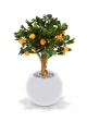 Albero artificiale bonsai arancione su base 65 cm