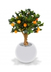 Albero artificiale bonsai arancione su base 65 cm