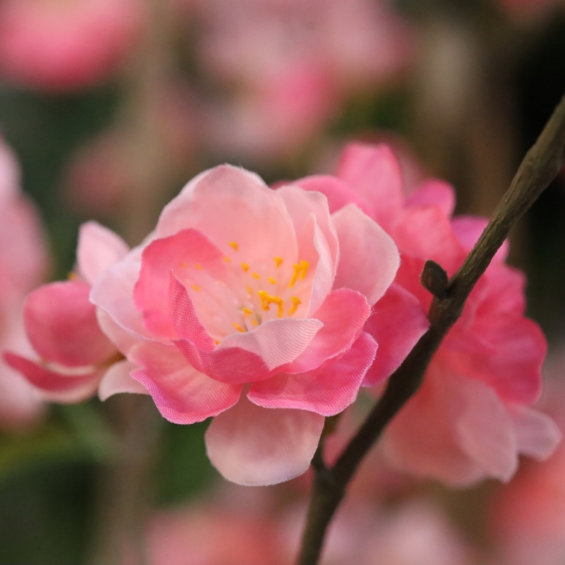 Pianta artificiale Fiore di ciliegio Deluxe 120cm rosa in vaso
