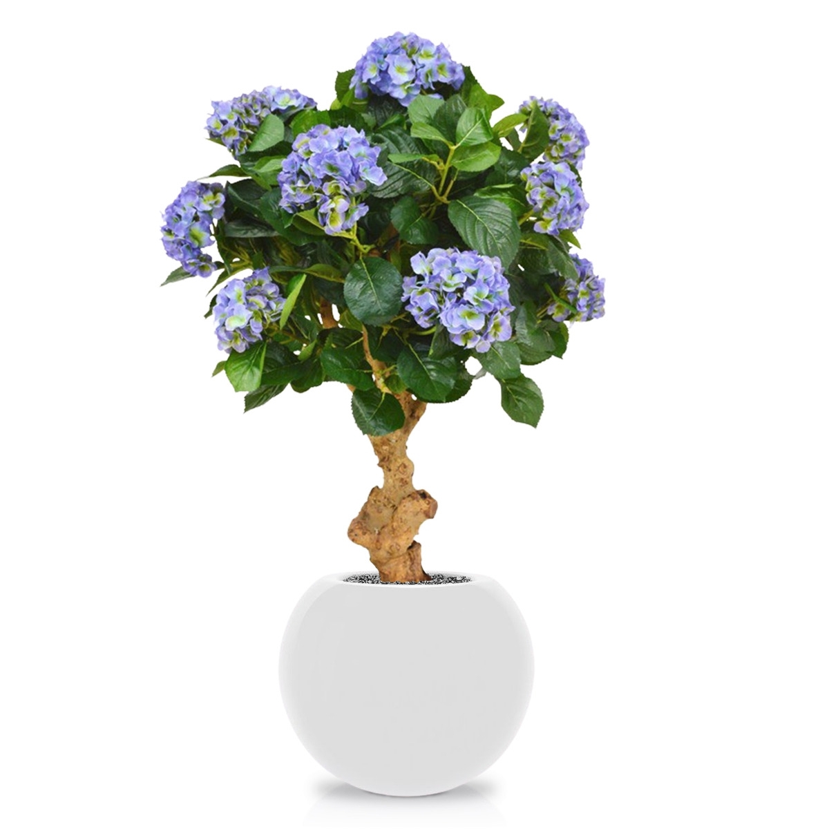 Ortensia Deluxe su tronco 90 cm blu