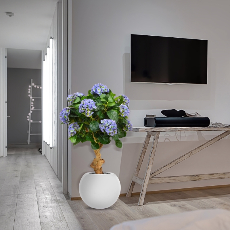Ortensia Deluxe su tronco 90 cm blu