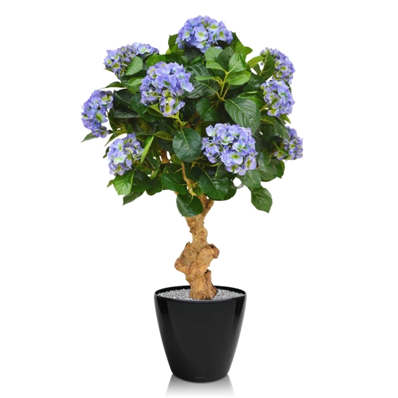 Ortensia Deluxe su tronco 90 cm blu