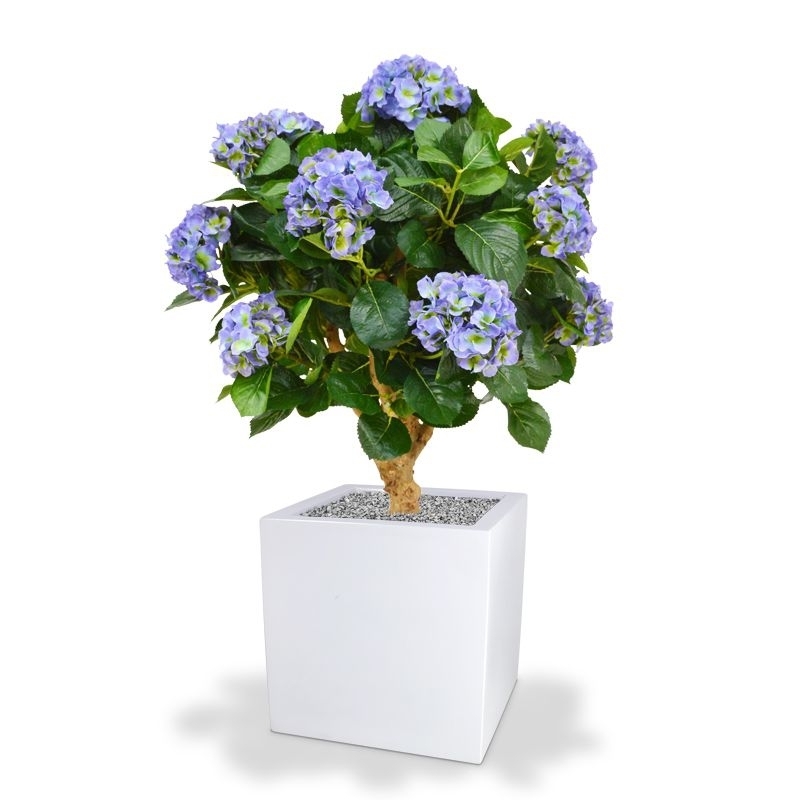 Ortensia Deluxe su tronco 90 cm blu