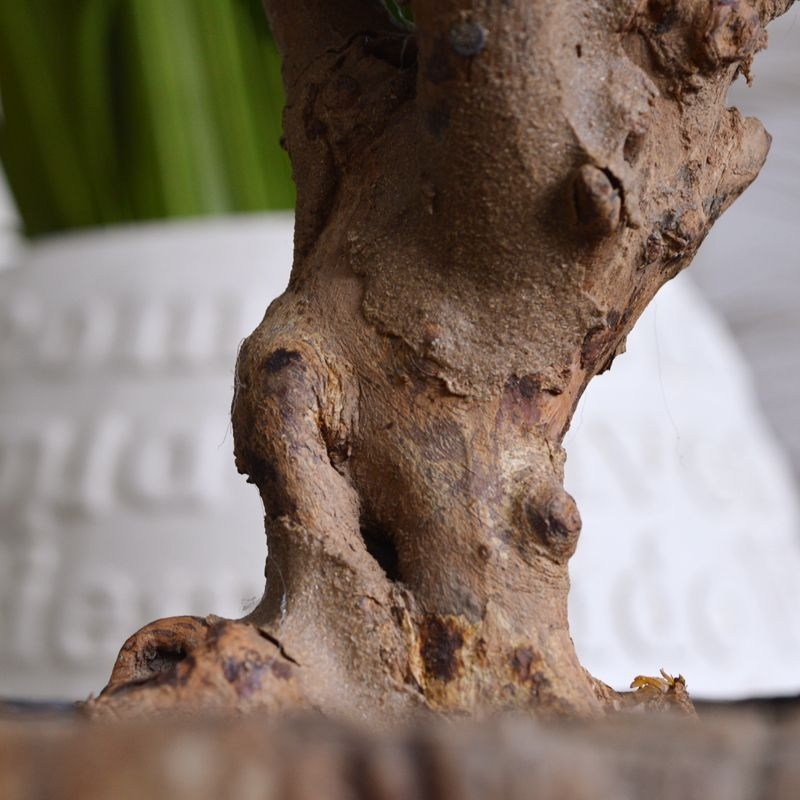 Ortensia Deluxe su tronco 90 cm blu