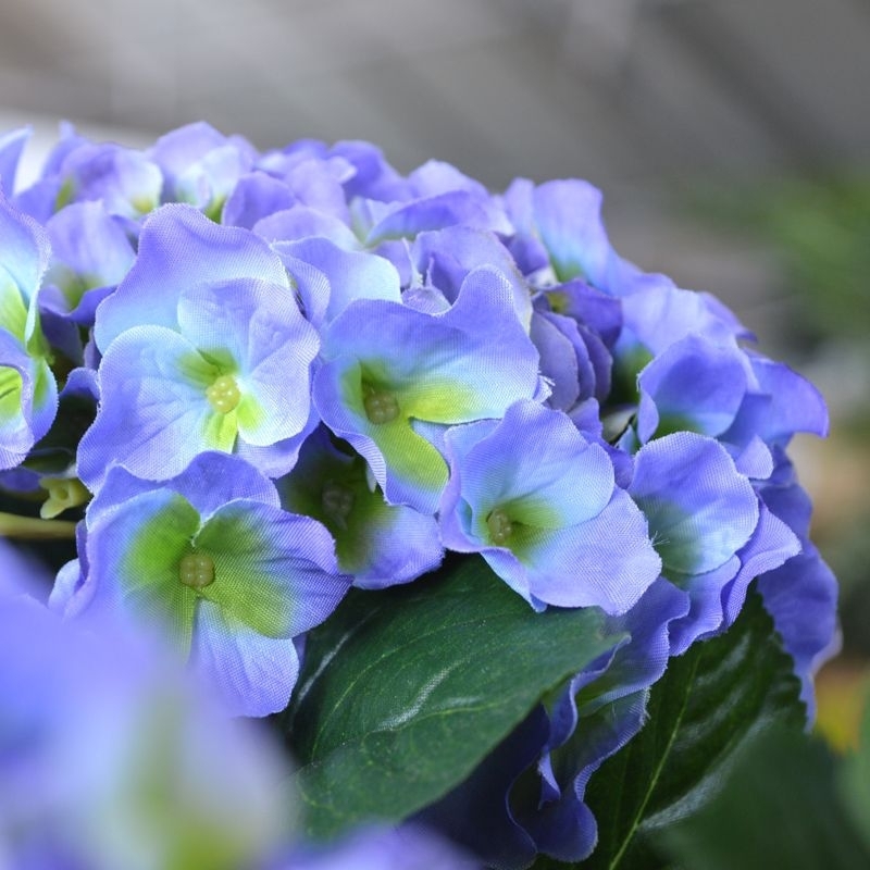 Ortensia Deluxe su tronco 90 cm blu